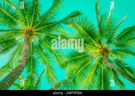 Blick auf Palmen am Strand in tropischer Lage vor leuchtendem Neongrün Himmel. Stockfoto