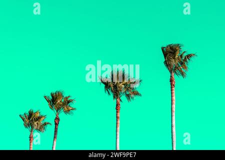 Palmenreihe am Strand in tropischer Lage vor strahlendem Neongrün-Himmel. Stockfoto