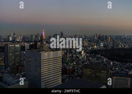 Tokio, Japan. Januar 2024. Panoramablick auf die Stadt bei Sonnenuntergang vom Nordobservatorium des Tokyo Metropolitan Government Building Stockfoto