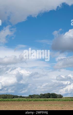 Landschaft rund um den Friedhof in Auvers sur Oise, Frankreich, wo weltberühmte Impressionisten wie Vincent Van Gogh einen Teil seines Lebens verbrachten Stockfoto