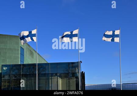 Am finnischen Unabhängigkeitstag die Nationalflaggen Finnlands schwenken Stockfoto