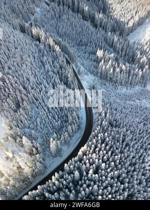 Luftaufnahme der kurvigen Asphaltstraße durch den Winterwald der Niederen Tatra, Slowakei. Von der Drohne aus hat man einen Blick auf die Gipfel von Kiefern und Tannen und die verwinkelte enge Straße zum Dorf Demanovska Dolina Stockfoto