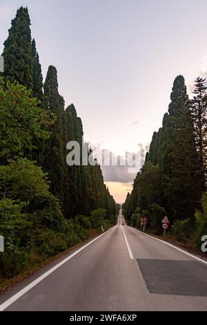 Zypressenallee, die Straße, die zum mittelalterlichen Dorf Bolgheri führt, in der toskanischen Maremma, gesäumt von jahrhundertealten Zypressen, Toskana, Italien Stockfoto