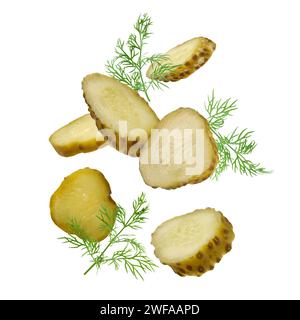 Scheiben leckerer eingelegter Gurken und Dill, die auf weißem Hintergrund fallen Stockfoto