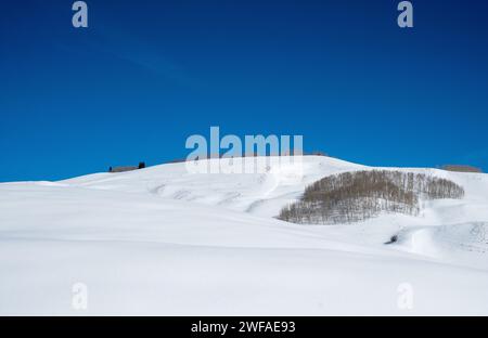 28. Januar 2024: Ein Espenhain und Colorado's Schneesack in Colorado's Elk Range. Crested Butte, Colorado (Bild: © Larry Clouse/Csm/Cal Sport Media) Stockfoto