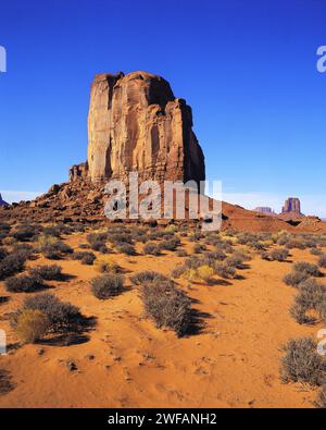 Elephant Butte gesehen über der Wüste-Boden mit Dorn-Peeling, andere Buttes im Abstand, Monument Valley, Utah und Arizona, USA Stockfoto