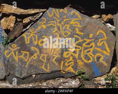 Geschnitzter Mähne-Stein mit der buddhistischen Botschaft OM Mähne Padme hom am Rande eines Weges in Ostnepalonien Stockfoto