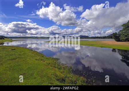 Spiegel - wie Spiegelungen der Bäume und der Himmel in den stillen Wassern des Loch Flotte, Osten Sutherland, N.e. Schottland Stockfoto