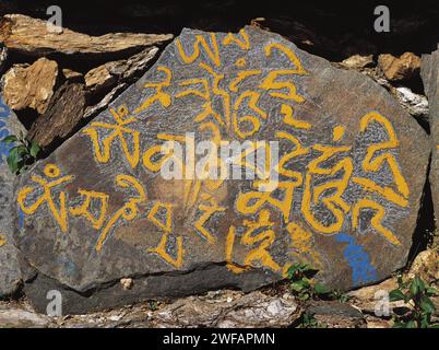 Geschnitzter Mähne-Stein mit der buddhistischen Botschaft OM Mähne Padme hom am Rande eines Weges in Ostnepalonien Stockfoto