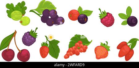 Set reifer Beeren mit Blättern, Bio-Produkt Stock Vektor