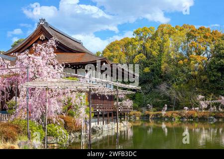 Kyoto, Japan - 2. April 2023: Der Heian Jingu Garden ist ein Garten mit einer Vielzahl von Pflanzen, Teichen und Gebäuden und weinenden Kirschbäumen, was ihn zu einem von ihnen macht Stockfoto