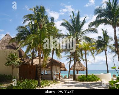 Massagehütte im Freien unter Palmen am Sandstrand, Playa del Carmen, Mexiko Stockfoto