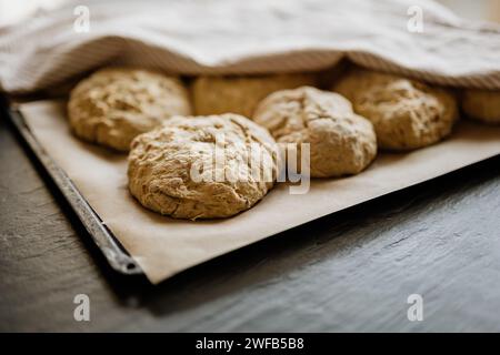 Brot zu Hause backen und den Teig gehen lassen. Brötchen auf Backblech, bedeckt mit einem Küchentuch, bereit zum Backen im Ofen. Stockfoto