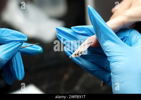 Eine Nahaufnahme eines professionellen Nageltechnikers, der Acrylnägel mit einer elektrischen Handfeile formt und die Präzisionsarbeit in einem Schönheitssalon detailliert beschreibt. Stockfoto