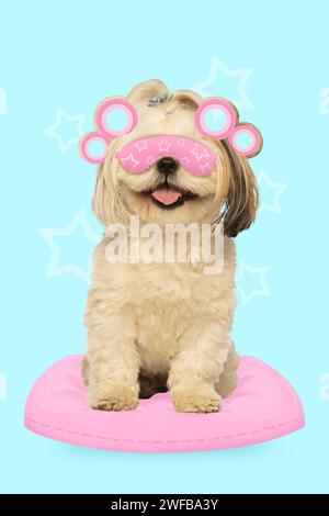 Moderne ästhetische Kunstwerke. Kleiner Hund, reinrassiger Shih-Tzu, der auf rosa Kissen sitzt und eine pinkfarbene Augenmaske trägt. Stockfoto