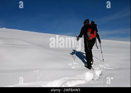 Schneeschuh Wandern im Naturpark Beverin, Graubünden, Schweiz Stockfoto