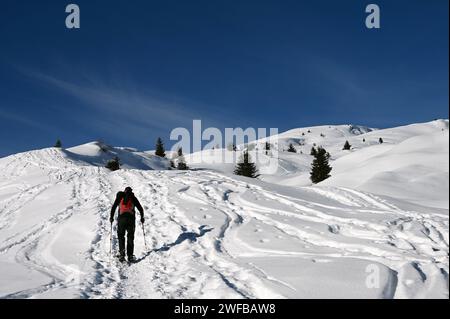 Schneeschuh Wandern im Naturpark Beverin, Graubünden, Schweiz Stockfoto