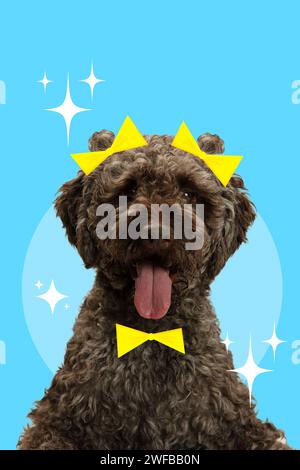 Moderne ästhetische Kunstwerke. Lockiger Hund, reinrassiger Poodle mit gelber Fliege und auf dem Kopf vor blauem Hintergrund. Tierpflege Stockfoto