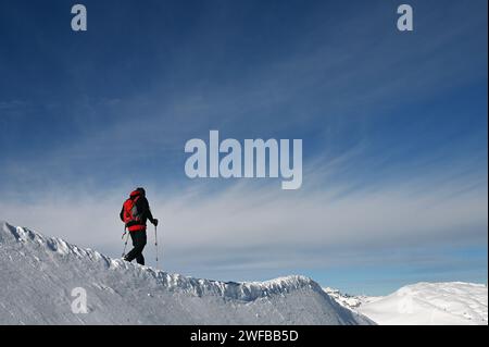 Schneeschuh Wandern im Naturpark Beverin, Graubünden, Schweiz Stockfoto