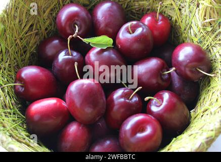 Frisch gepflückte Pflaumen in Einem Korb detailliertes Stockfoto Stockfoto