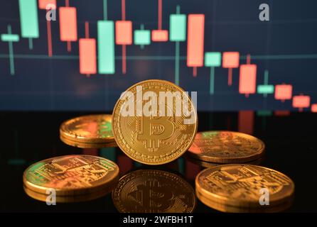 Foto von goldenem Bitcoin auf schwarzer reflektierender Oberfläche und Kerzendiagramm mit Preisverfall oder -Rückgang im Hintergrund Stockfoto