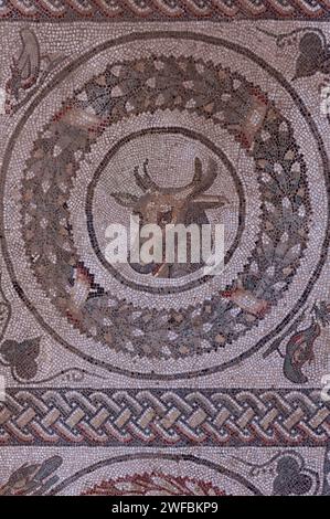 Detail des spätrömischen Mosaikpflasters mit geometrischem Muster aus Quadraten und Kreisen und den Köpfen von Tieren. Dieses Mosaik befindet sich im zentralen Innenhof der Villa Romana del Casale, Piazza Armerina, Sizilien, Italien. Das Tier in diesem Bild ist eine vierhörnige Antilope, die in Indien beheimatet ist (wie auch der Tiger, der an anderer Stelle in der Villa abgebildet ist). Stockfoto