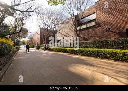 Tokyio, Japan. Januar 2024. Panoramablick auf Menschen, die im Winter in einer Gasse des Ueno Parks spazieren gehen Stockfoto