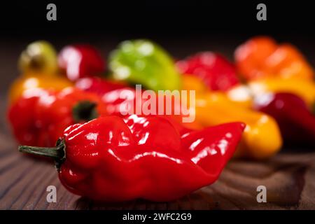 Eine bunte Mischung aus frischesten und heißesten Chilischoten. Stockfoto