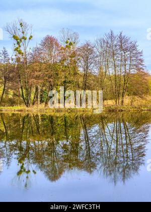 Laubmischbäume spiegeln sich auf der stillen Teichoberfläche - Zentralfrankreich. Stockfoto