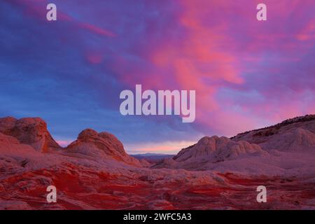 Sonnenaufgangslicht auf den Wolken der Mamma über der White Pocket Recreation Area im Vermilion Cliffs National Monument, Arizona. Stockfoto