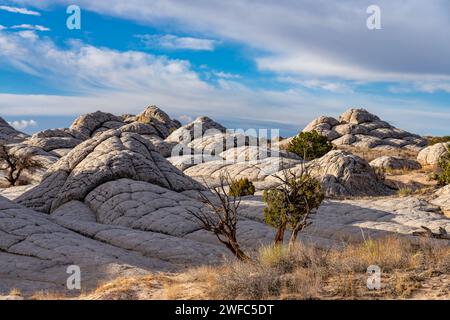 White Pocket Recreation Area, Vermilion Cliffs National Monument, Arizona. Eine Form von Navajo sandston Stockfoto