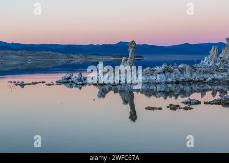 Tuffstein-Formationen spiegeln sich im Mono Lake in Kalifornien in der Abenddämmerung wider. Stockfoto