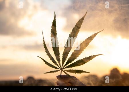 Cannabisblatt in der Hand in der untergehenden Sonne auf verschwommenem Hintergrund Stockfoto