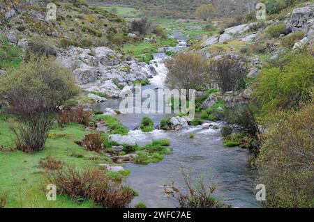 Navarenas River Zufluss des Alberche River. Sierra de Gredos, Provinz Avila, Castilla y Leon, Spanien. Stockfoto