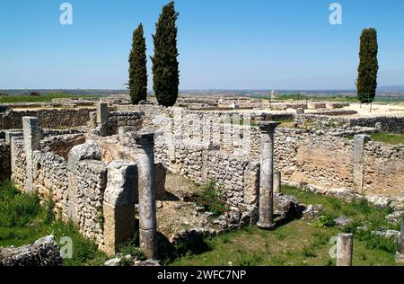 Colonia Clunia Sulpicia, alte römische Stadt. Peñalba de Castro, Provinz Burgos, Castilla y Leon, Spanien. Stockfoto