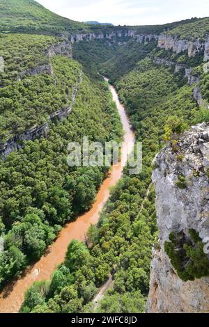 Ebro Riber in der Nähe von Pesquera de Ebro. Region Páramos, Provinz Burgos, Castilla y Leon, Spanien. Stockfoto