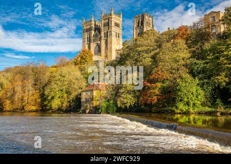 Farbenfrohe Herbstwälder, Old Fulling Mill und Durham Cathedral im November am Ufer des Flusses Wear, Durham, England, Großbritannien Stockfoto