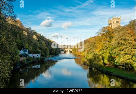 Farbenfrohe Herbstwälder und die Kathedrale von Durham im November am Ufer des Flusses Wear, von der Prebends Bridge, Durham, England, Großbritannien Stockfoto