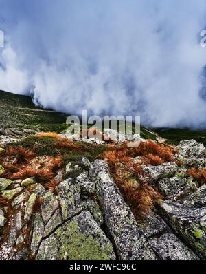 Blick vom Mount Katahdin, appalachian Trail, Baxter State Park, Maine, USA Stockfoto