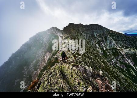 Blick vom Mount Katahdin, appalachian Trail, Baxter State Park, Maine, USA Stockfoto