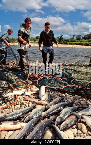 Lachsnetze am Fluss Spey bei Tugnet, der Fischfang aus einem Stück des Netzes Stockfoto