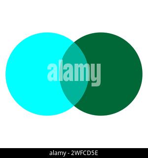 Infografik mit zwei sich schneidenden Kreisen. Geometrisches Element. Geschäftskreis. Vektorabbildung. Rohbild. EPS 10. Stock Vektor