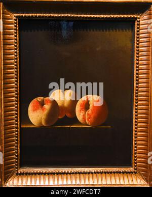 Amsterdam, Niederlande. Januar 2024. Stillleben im Rijksmuseum in Amsterdam. Hochwertige Fotos Stockfoto