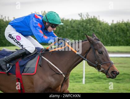 Wodhooh gewinnt SBK Fillies Jugendhürde in Doncaster für Gordon Elliott, Mark Walsh und die Sundowners Partnership am Samstag, den 27. Januar Stockfoto