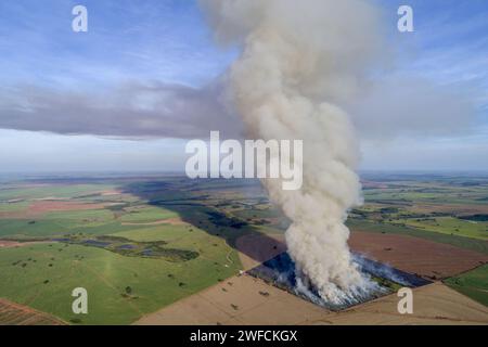 Ansicht der verbrannten Drohne in der Zuckerrohrplantage - Stockfoto