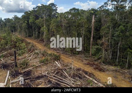 Drohnenansicht der illegalen Entwaldung im Amazonasregenwald - Stockfoto