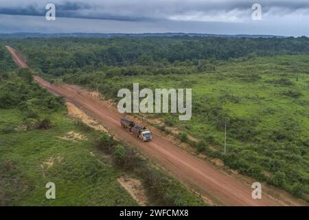 Drohnenansicht eines Doppelkarosserie-Lkws, der Baumstämme illegaler Entwaldung auf der BR-230 Transamazônica Highway transportiert - Stockfoto