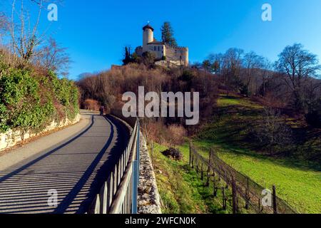 Schloss Birseck (Burg Birseck) befindet sich in der Gemeinde Arlesheim im Kanton Basel-Landschaft. Schweiz. Birseck Castle liegt auf einem Stockfoto