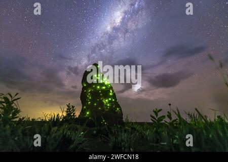 Milchstraße und Termitenhügel Biolumineszenz im EMAS Nationalpark in der Abenddämmerung - Stockfoto