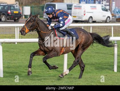 Dysart Enos gewinnt Download der „at the Races“-App für Anfänger auf der Doncaster Racecourse für Fergal O'Brien und Paddy Brennan am Sonntag, den 28. Januar 2024 Stockfoto